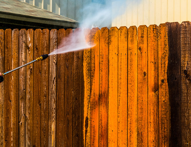 Fence Cleaning Services Ringwood