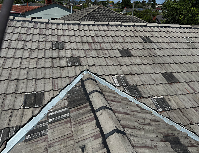 Gutter & Fascia Replacement Dandenong