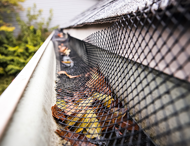 Gutter Guard Services Rowville