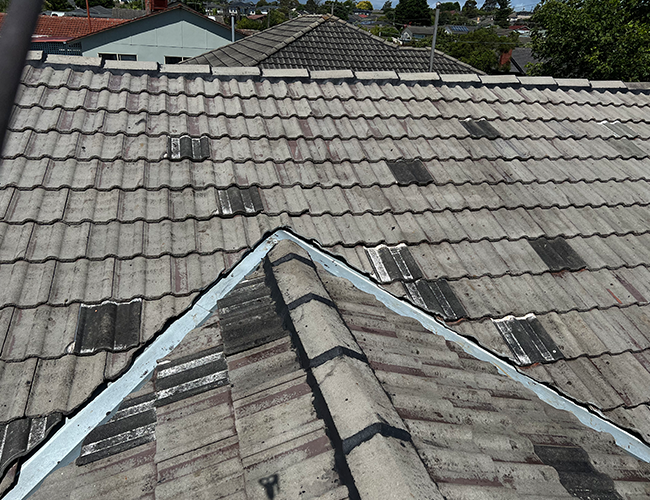 Roof Restroration Services Dandenong